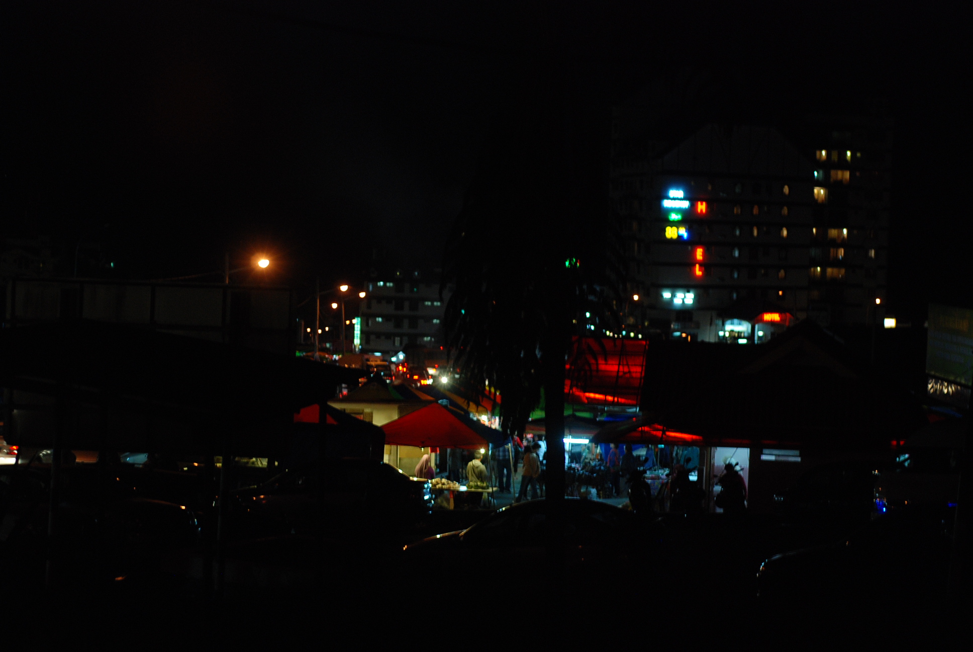 DSC 8877