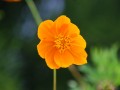 Tn DSC 7941