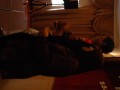 Tn DSC 9101